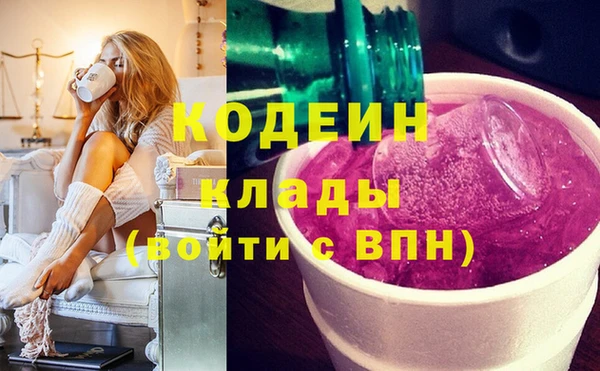 шишки Елабуга