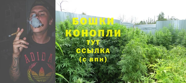 шишки Елабуга