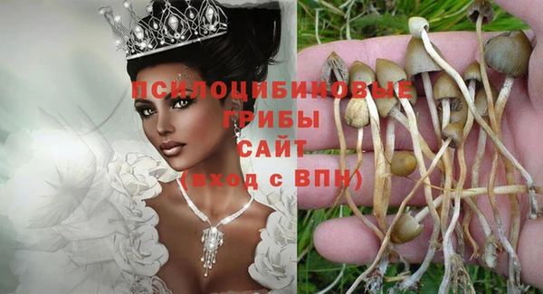 скорость mdpv Елизово