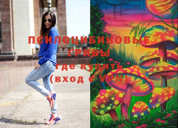шишки Елабуга
