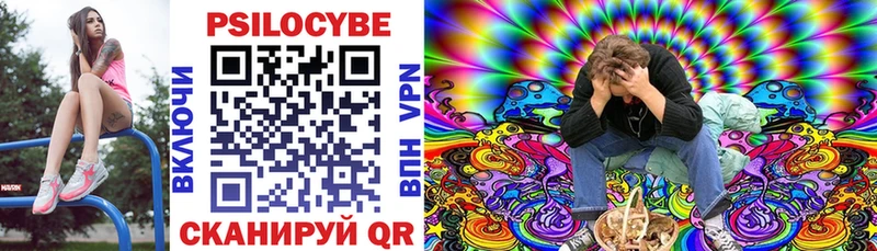 Купить  Жигулёвск  Галлюциногенные грибы Psilocybine cubensis 
